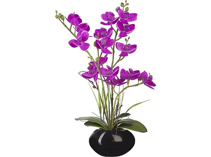 Орхидеи в керамическом кашпо фиолетовая 34 см