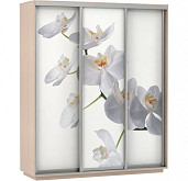 Комплект из 3 дверей Фото 3-180 Белая орхидея Н220