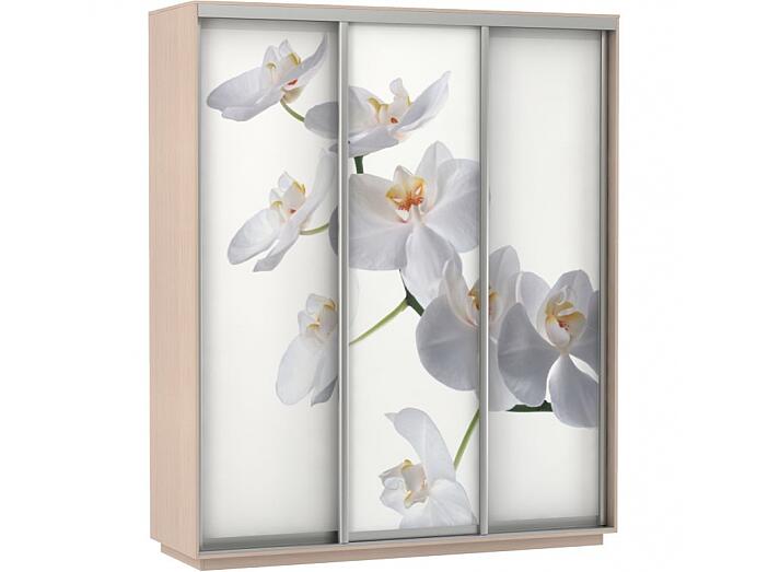 Комплект из 3 дверей Фото 3-180 Белая орхидея для шкафа Н220