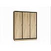 Шкаф-купе Тринити NEW (1800) Фасад вставка 600 (Дуб Крафт)