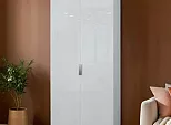 Шкаф 2-дв. Trend-20 Белый/Белый глянец