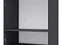 Шкаф 2-х дверный 988*2386*610 Серый уголь С Зеркалом Лаура 3