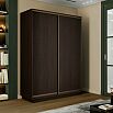 Шкаф-купе 1400x600x2200 Экспресс 2 Вегне ЛДСП