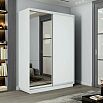 Шкаф-купе 1600x450x2200 Экспресс 2 Белый снег зеркало, ЛДСП