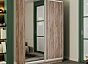 Шкаф Экспресс 2 2-х дверный Дуо Зеркало ЛДСП (Серебряный профиль) Дуб Крафт Табачный 1600x2400x450