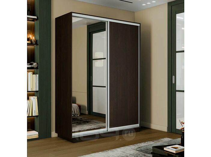 Шкаф-купе 1600x450x2400 Экспресс 2 Вегне зеркало, ЛДСП