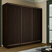 Шкаф-купе 2400x600x2200 Экспресс 2 Вегне ЛДСП