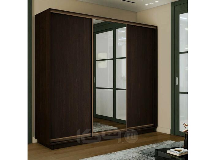 Шкаф-купе 1800x450x2400 Экспресс 2 Вегне зеркало, ЛДСП