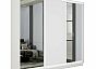 Шкаф Экспресс 2 3-х дверный Трио Зеркало ЛДСП Зеркало (Белый профиль) Белый снег 2100x2400x600