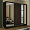 Шкаф Экспресс 2 3-х дверный Трио Зеркало ЛДСП Зеркало (Чёрный профиль) Венге 2100x2400x600 Шкаф Экспресс 2 3-х дверный Трио Зеркало ЛДСП Зеркало (Чёрный профиль) Венге 2100x2400x600