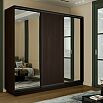 Шкаф-купе 2400x450x2400 Экспресс 2 Вегне зеркало, ЛДСП