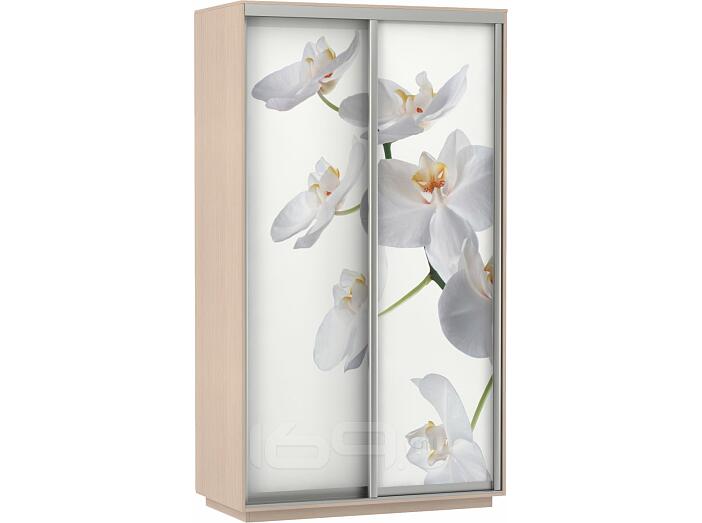 Шкаф-купе 2-х дверный Экспресс Фото дуо Орхидея Дуб молочный 1600 Шкаф-купе 2-х дверный Экспресс Фото дуо Орхидея Дуб молочный 1600