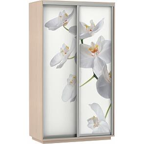 Шкаф-купе 2-х дверный Экспресс Фото дуо Орхидея Дуб молочный 1600