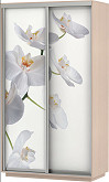 Шкаф-купе 2-х дверный Экспресс Фото дуо Орхидея Дуб молочный | 120 см