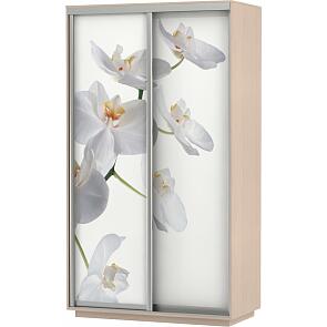 Шкаф-купе 2-х дверный Экспресс Фото дуо Орхидея Дуб молочный 1200