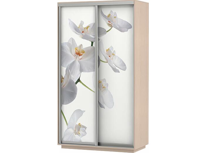 Шкаф-купе 2-х дверный Экспресс Фото дуо Орхидея Дуб молочный 1400