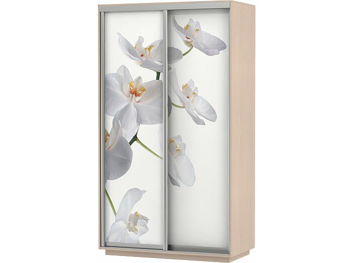 Шкаф-купе 2-х дверный Экспресс Фото дуо Орхидея Дуб молочный 1600