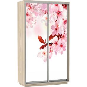 Шкаф-купе 2-х дверный Экспресс Фото дуо Сакура Дуб молочный 1400