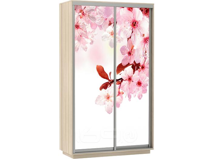 Шкаф-купе 2-х дверный Экспресс Фото дуо Сакура Дуб молочный 1600