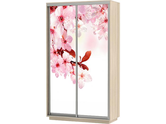 Шкаф-купе 2-х дверный Экспресс Фото дуо Сакура Дуб молочный 1200