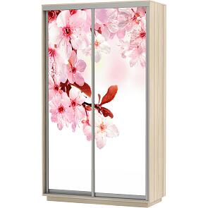 Шкаф-купе 2-х дверный Экспресс Фото дуо Сакура Дуб молочный 1600