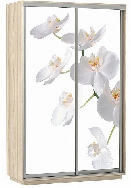 Шкаф-купе 2-х дверный Экспресс Хит фото Белая орхидея Ясень шимо светлый 1200 пленка для декора и флористики глянцевая белая однотонная