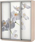 Шкаф-купе 3-х дверный Экспресс фото трио Орхидея Дуб молочный | 180 см