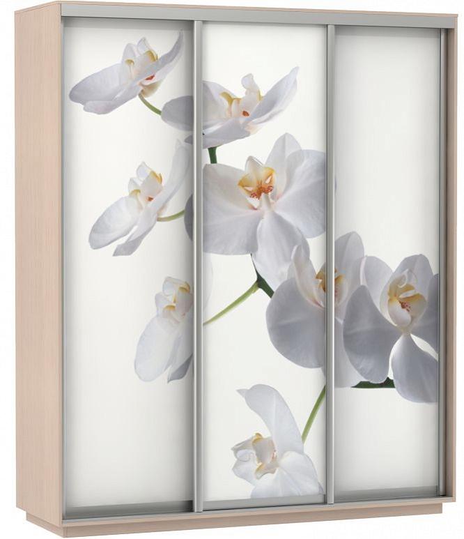 Шкаф-купе 3-х дверный Экспресс фото трио Орхидея Дуб молочный 2100