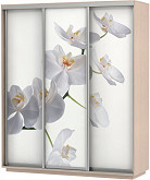 Шкаф-купе 3-х дверный Экспресс фото трио Орхидея Дуб молочный | 210 см