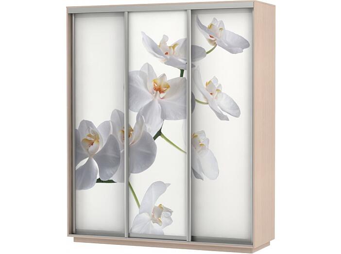 Шкаф-купе 3-х дверный Экспресс фото трио Орхидея Дуб молочный 2400