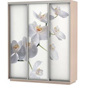 Шкаф-купе 3-х дверный Экспресс фото трио Орхидея Дуб молочный 2400