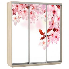 Шкаф-купе 3-х дверный Экспресс фото трио Сакура Дуб молочный 2400