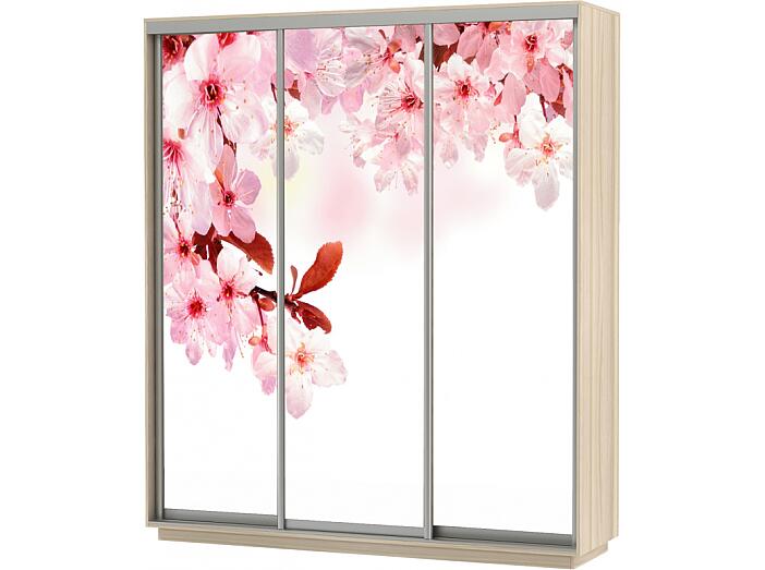 Шкаф-купе 3-х дверный Экспресс фото трио Сакура Дуб молочный 1800