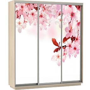 Шкаф-купе 3-х дверный Экспресс фото трио Сакура Дуб молочный 2100