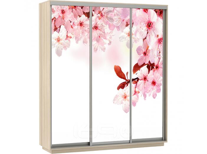 Шкаф-купе 3-х дверный Экспресс фото трио Сакура Дуб молочный 1800