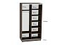 Шкаф-купе D2-01 Черное дерево глубиной 450 мм