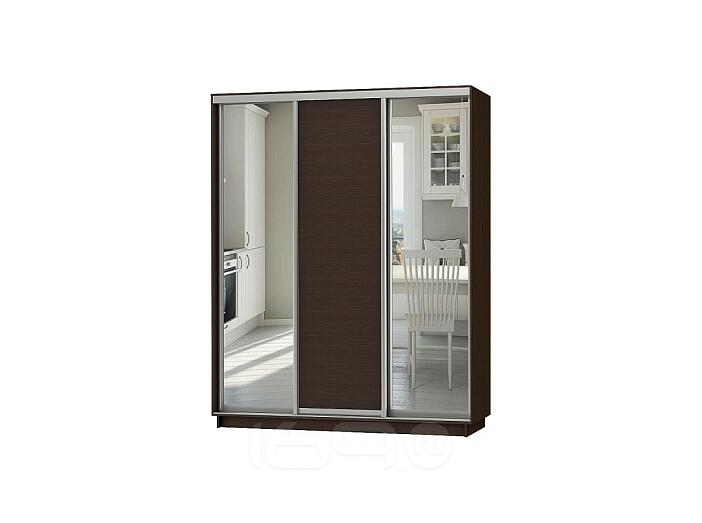 Шкаф-купе D3-03 Черное дерево глубиной 450 мм Шкаф-купе D3-03 Черное дерево глубиной 450 мм