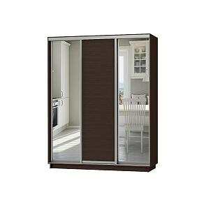 Шкаф-купе D3-03 Черное дерево глубиной 450 мм