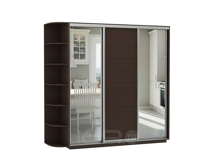 Шкаф-купе D3-07 Черное дерево глубиной 450 мм