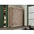 Шкаф-купе 1200x600x2200 Экспресс ЛДСП