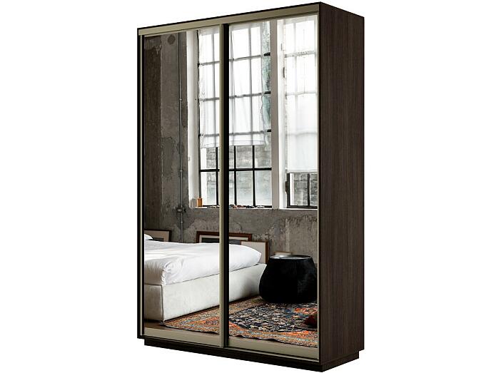 Шкаф-купе Экспресс Дуо160 с зеркалом Венге