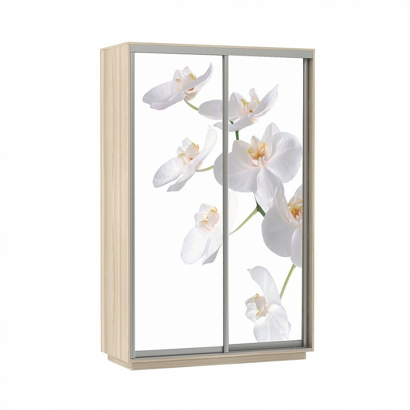 Шкаф-купе 2-х дверный Экспресс Хит фото Белая орхидея Ясень шимо светлый 1200