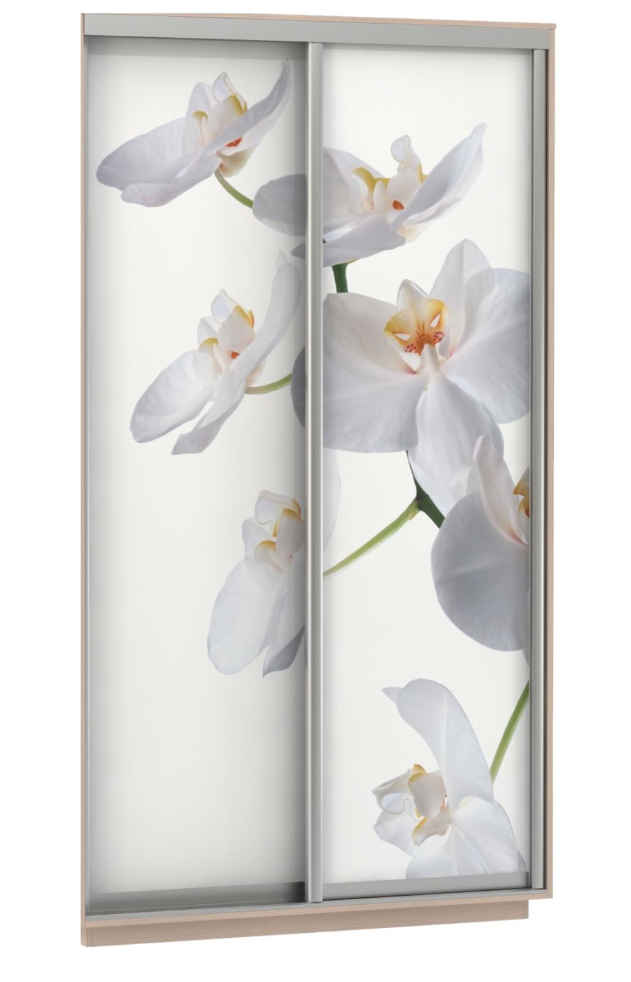 Комплект из 2 дверей Фото 2-160 Белая орхидея  для шкафа Н220