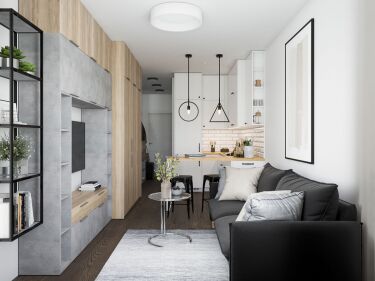 Дизайн-проекты для квартир-студий площадью 25 кв.м.