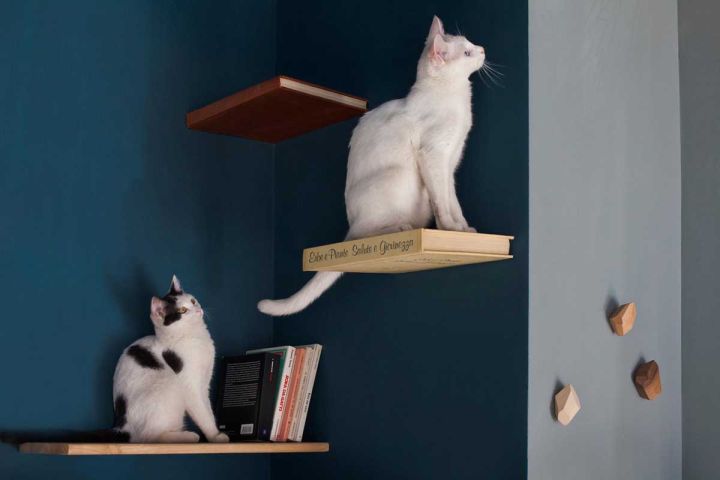 Полки для кошки на стену