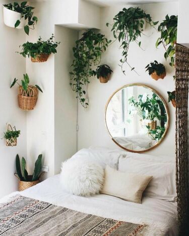 Дизайн с комнатными растениями (37 фото)