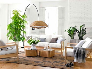 8 комнатных растений в квартире, которые медленно отравляют вас