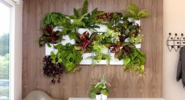 Дизайн комнатных растений в интерьере квартиры (с фото)
