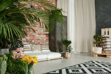 Дизайн комнаты с растениями