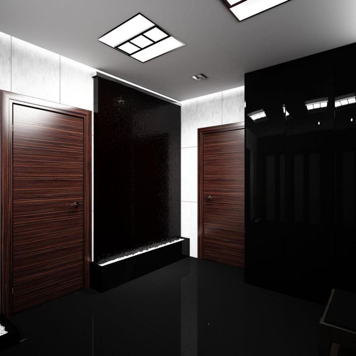 Дизайн прихожей с темными дверями: особенности выбора цвета поверхностей